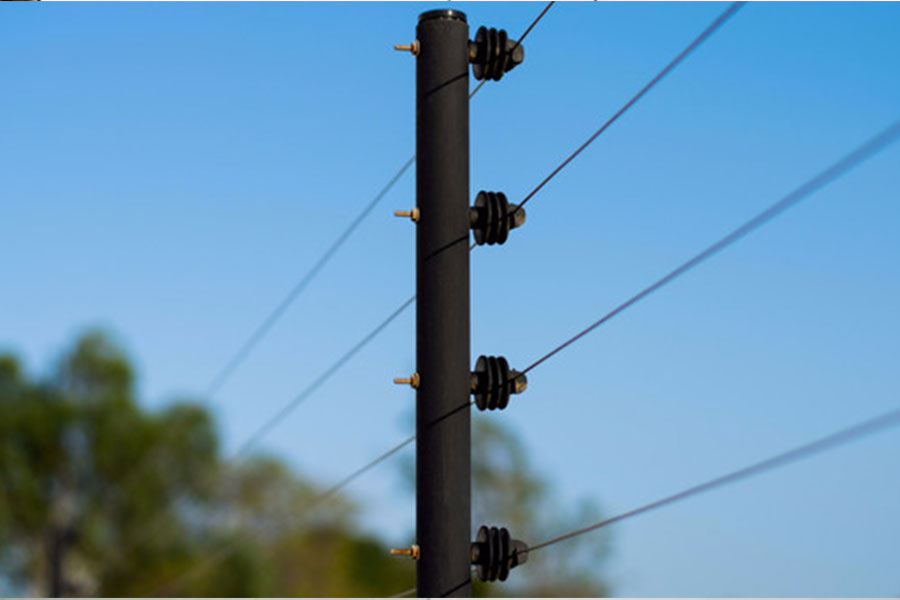 Cercos eléctricos